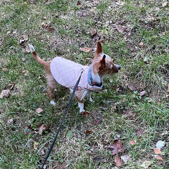 NWT Oliver Thomas Dog coat/jacket - Picture 8 of 8